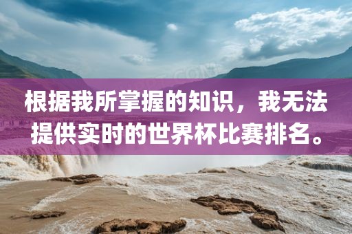 根据我所掌握的知识，我无法提供实时的世界杯比赛排名。