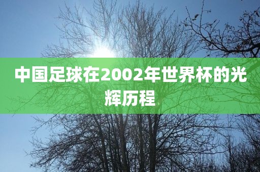 中国足球在2002年世界杯的光辉历程