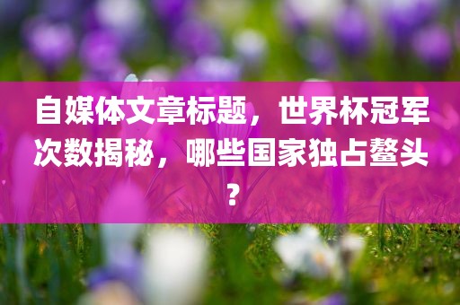 自媒体文章标题，世界杯冠军次数揭秘，哪些国家独占鳌头？