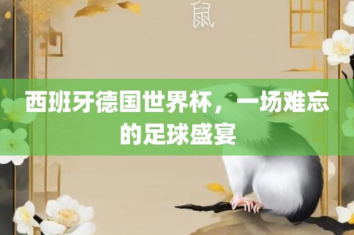 西班牙德国世界杯，一场难忘的足球盛宴