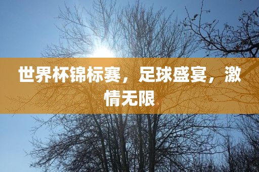世界杯锦标赛，足球盛宴，激情无限