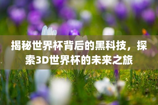 揭秘世界杯背后的黑科技，探索3D世界杯的未来之旅