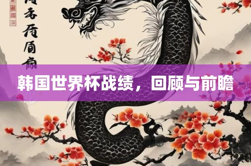 韩国世界杯战绩，回顾与前瞻