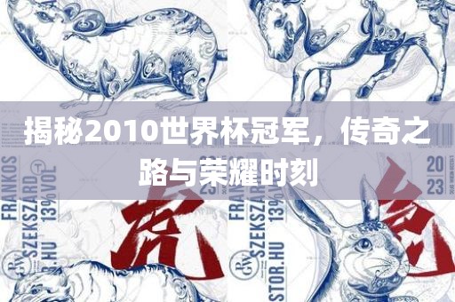 揭秘2010世界杯冠军，传奇之路与荣耀时刻