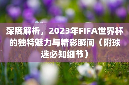 深度解析，2023年FIFA世界杯的独特魅力与精彩瞬间（附球迷必知细节）