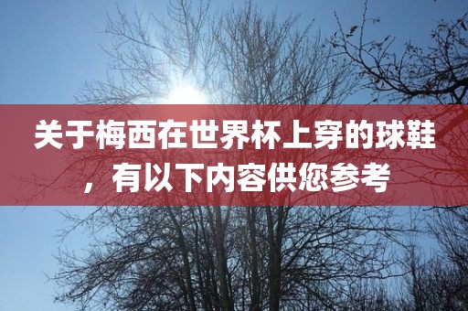 关于梅西在世界杯上穿的球鞋，有以下内容供您参考