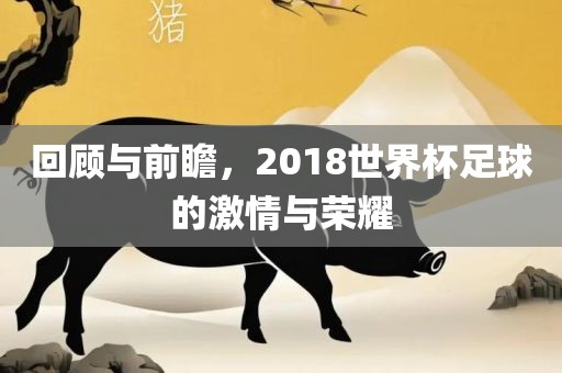回顾与前瞻，2018世界杯足球的激情与荣耀