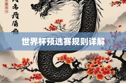 世界杯预选赛规则详解