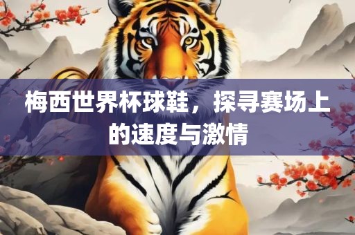 梅西世界杯球鞋，探寻赛场上的速度与激情