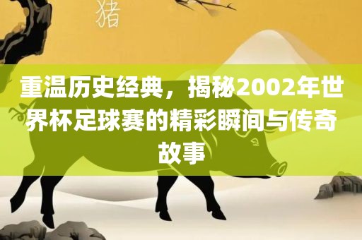 重温历史经典，揭秘2002年世界杯足球赛的精彩瞬间与传奇故事