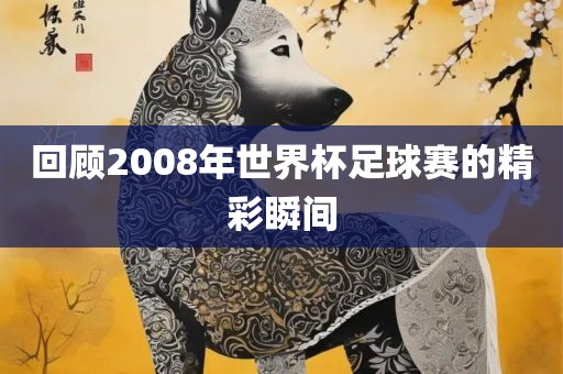 回顾2008年世界杯足球赛的精彩瞬间