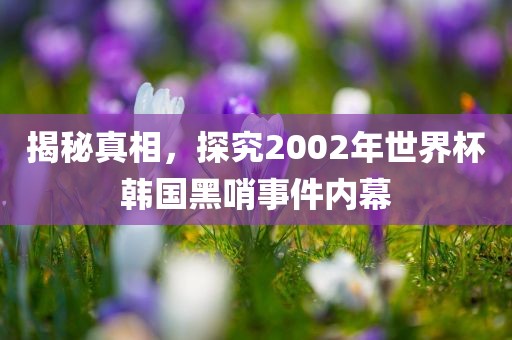 揭秘真相，探究2002年世界杯韩国黑哨事件内幕