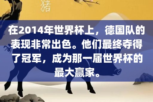 在2014年世界杯上，德国队的表现非常出色。他们最终夺得了冠军，成为那一届世界杯的最大赢家。