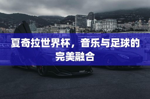 夏奇拉世界杯，音乐与足球的完美融合