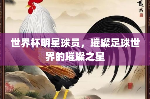 世界杯明星球员，璀璨足球世界的璀璨之星