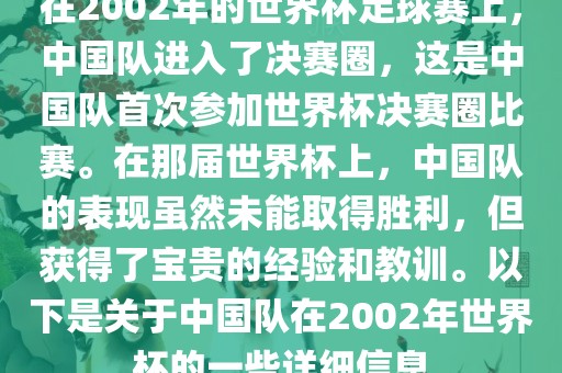 在2002年的世界杯足球赛上，中国队进入了决赛圈，这是中国队首次参加世界杯决赛圈比赛。在那届世界杯上，中国队的表现虽然未能取得胜利，但获得了宝贵的经验和教训。以下是关于中国队在2002年世界杯的一些详细信息