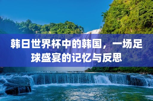 韩日世界杯中的韩国，一场足球盛宴的记忆与反思