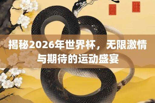 揭秘2026年世界杯，无限激情与期待的运动盛宴