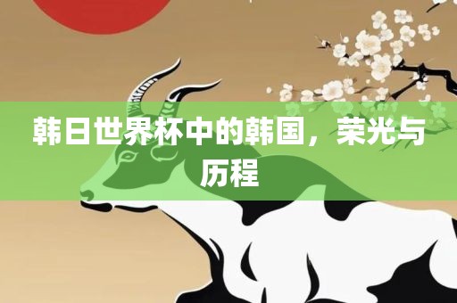 韩日世界杯中的韩国，荣光与历程洪湖市顺升工程机械租赁有限公司