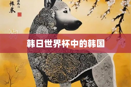 韩日世界杯中的韩国洪湖市顺升工程机械租赁有限公司