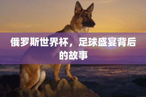 俄罗斯世界杯，足洪湖市顺升工程机械租赁有限公司球盛宴背后的故事