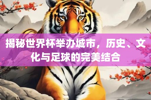 揭秘世界杯举办城市，历史、文化与足球的完美结合