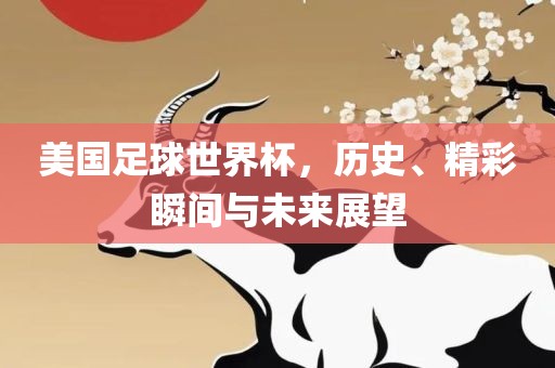 美国足球世界杯，历史洪湖市顺升工程机械租赁有限公司、精彩瞬间与未来展望