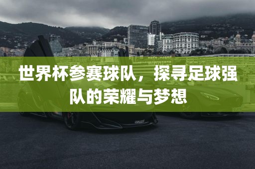 世界杯参赛球队，探寻足球强队的荣耀与梦想