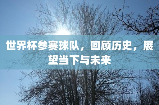 世界杯参赛球队，回顾历史，展望当下与未来