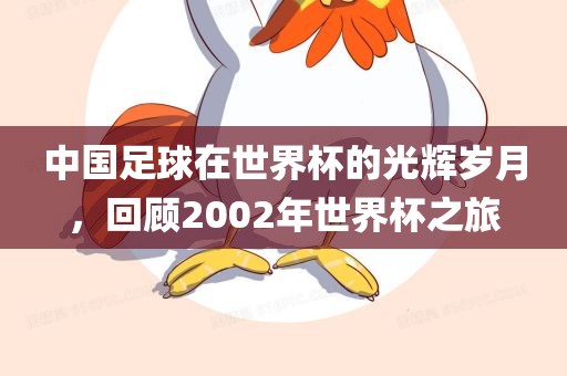 中国足球在世界杯的光辉岁月，回顾2002年世界杯之旅洪湖市顺升工程机械租赁有限公司