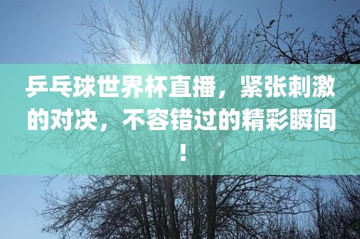 乒乓球世界杯直播，紧张刺激的对决，不容错过的精彩瞬间！
