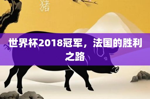 世界杯2018冠军，法国的胜利之路