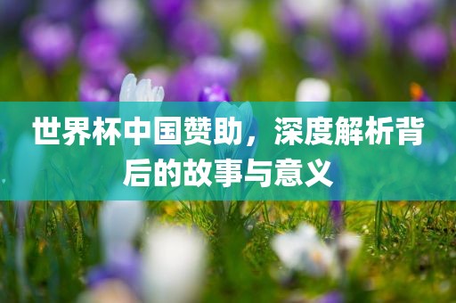 世界杯中国赞助，深度解析背后的故事与意义