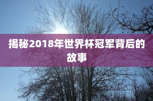 揭秘2018年世界杯冠军背后的故事