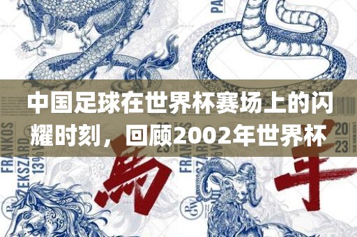 中国足球在世界杯赛场上的闪耀时刻，回顾2002年世界杯