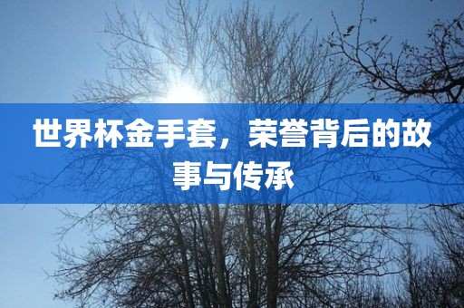 世界杯金手套，荣誉背后的故事与传承