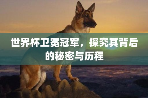 世界杯卫冕冠军，探究其背后的秘密与历程洪湖市顺升工程机械租赁有限公司