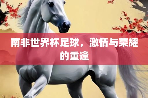 南非世界杯足球，激情与荣耀的重逢