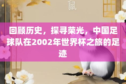 回顾历史，探寻荣光，中国足球队在2002年世界杯洪湖市顺升工程机械租赁有限公司之旅的足迹