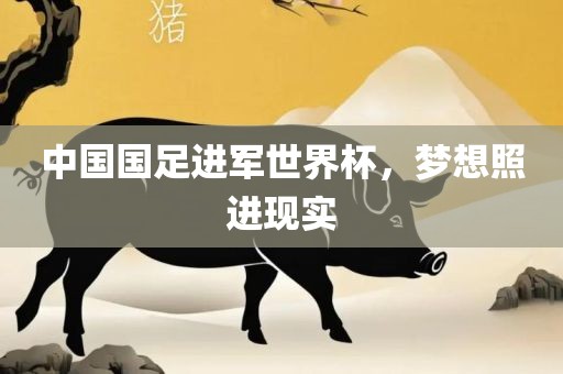 中国国足进军世界杯，梦想照进现实