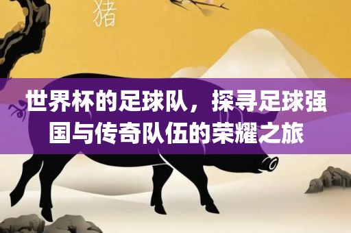 世界杯足球队