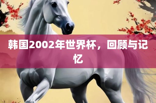 韩国2002年世界杯，回顾与记忆