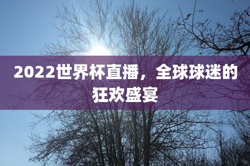 2022世界杯直洪湖市顺升工程机械租赁有限公司播，全球球迷的狂欢盛宴