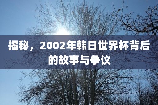 揭秘，2002年韩日世界杯背后的故事与争议