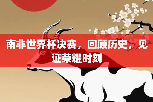 南非世界杯决赛，回顾历史，见证荣耀时刻洪湖市顺升工程机械租赁有限公司