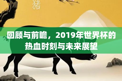 回顾与前瞻，2019年世界杯的热血时刻与未来展望