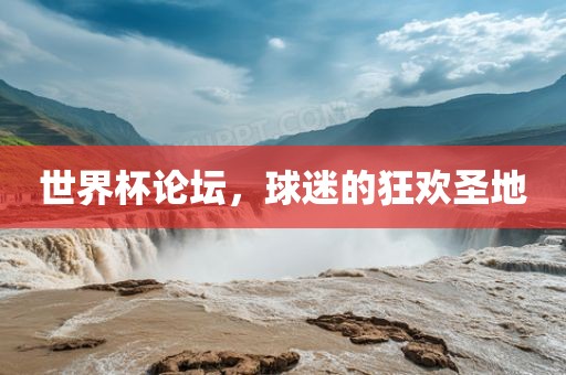 世界杯论坛，球迷的狂欢圣地