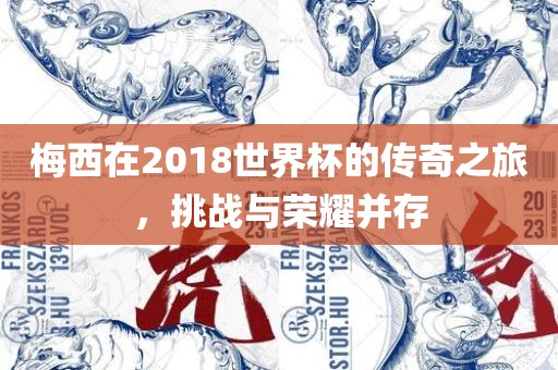 梅西在2018世界洪湖市顺升工程机械租赁有限公司杯的传奇之旅，挑战与荣耀并存