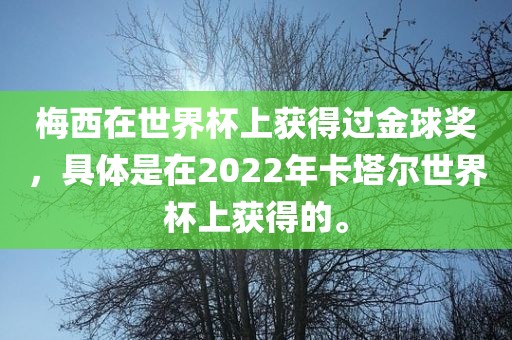 梅西在世界杯上获得过金球奖，具体是在2022年卡塔尔世界杯上获得的。