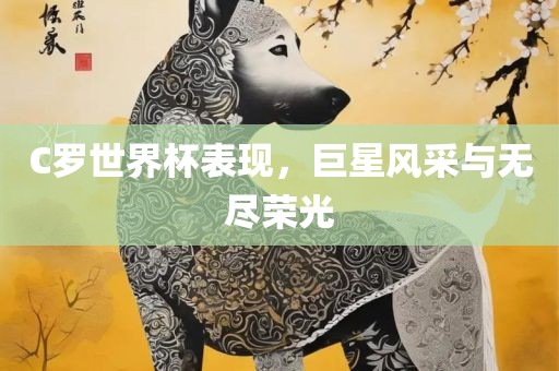 C罗世界杯表现，巨星风采与无尽荣光